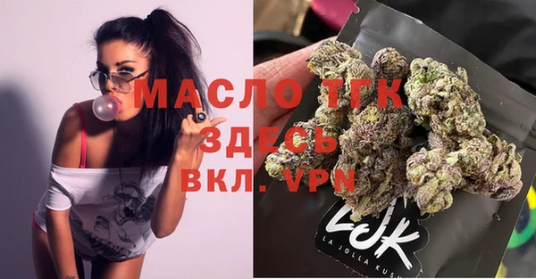 скорость Новозыбков