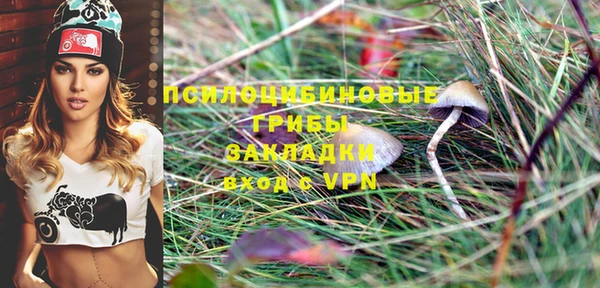 скорость Новозыбков