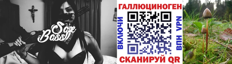 Галлюциногенные грибы прущие грибы  Купить закладки  Бийск 